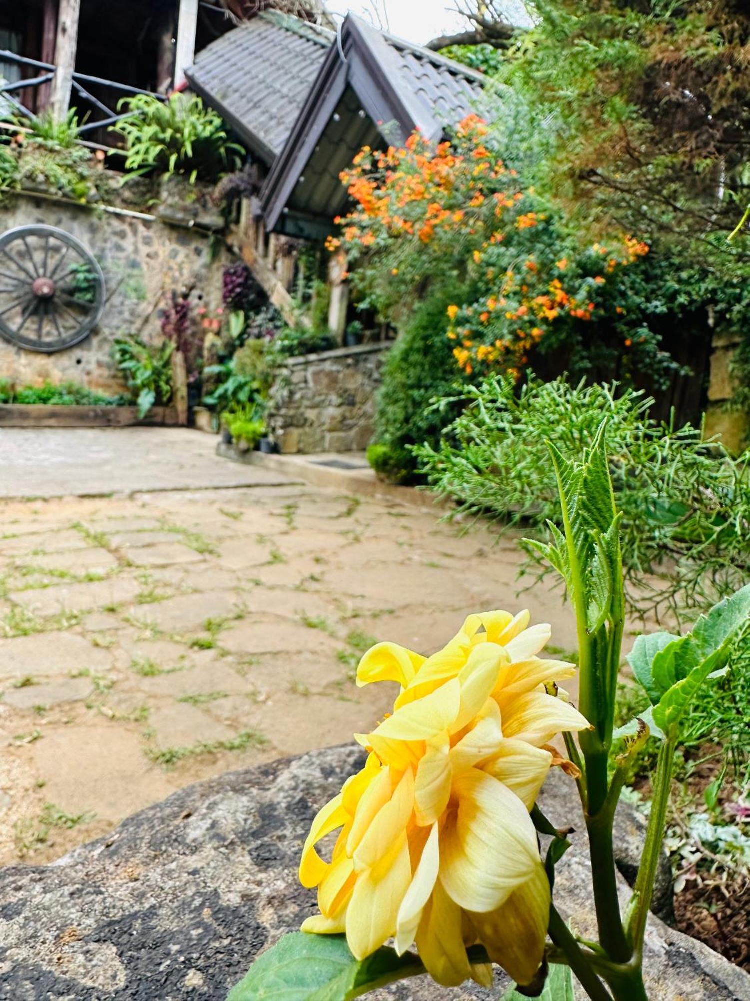 Villa 47 Nuwaraeliya Nuwara Eliya Eksteriør billede