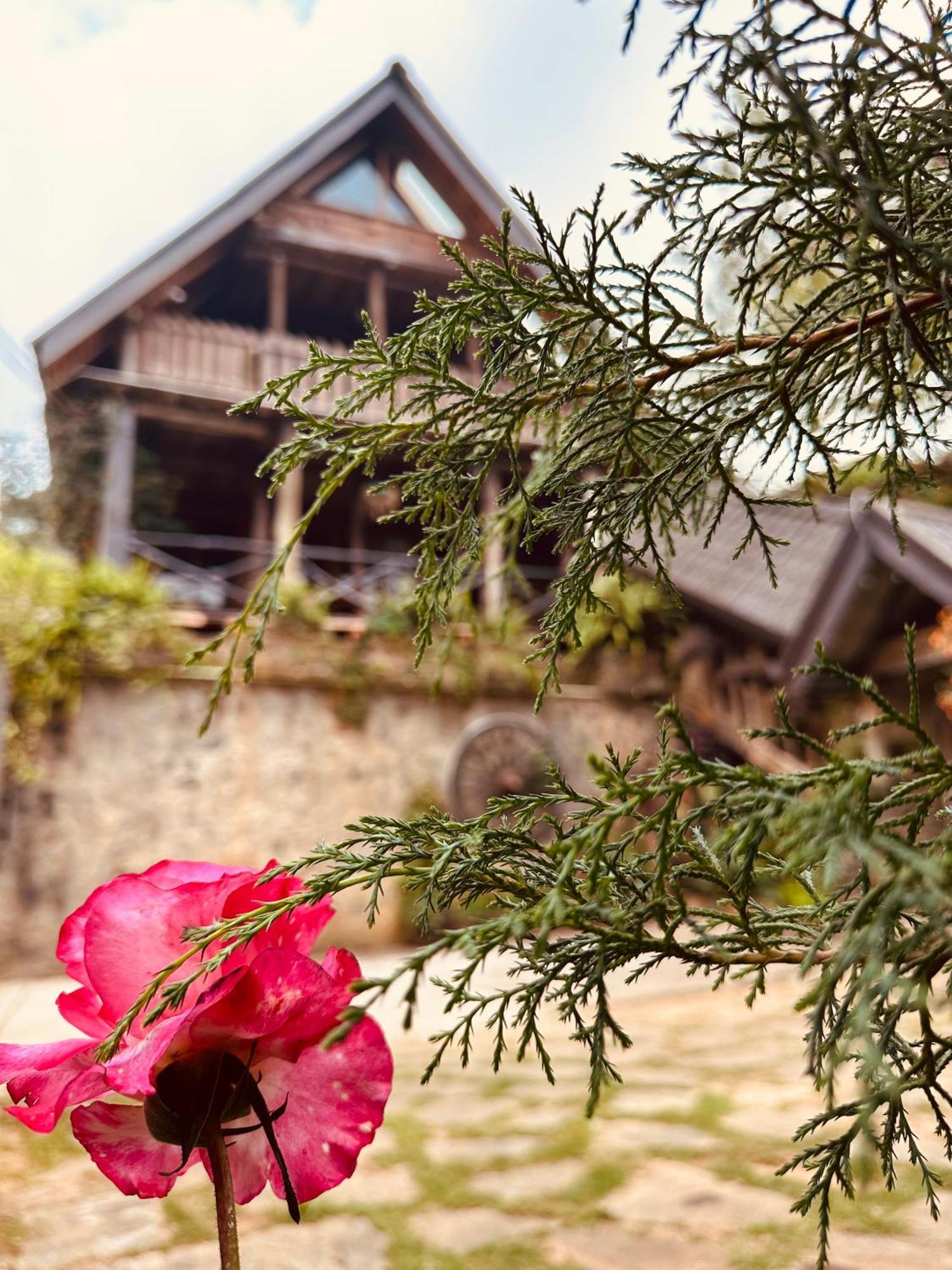 Villa 47 Nuwaraeliya Nuwara Eliya Eksteriør billede