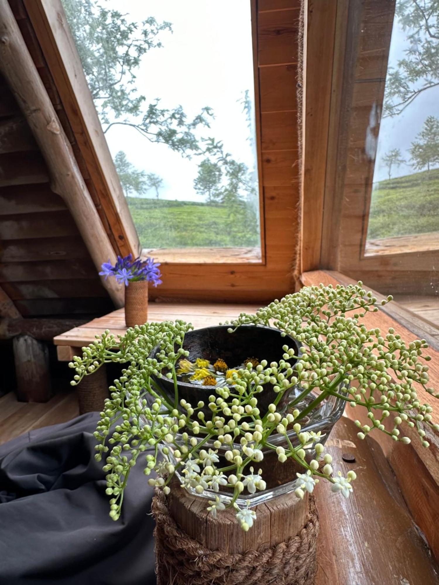 Villa 47 Nuwaraeliya Nuwara Eliya Eksteriør billede
