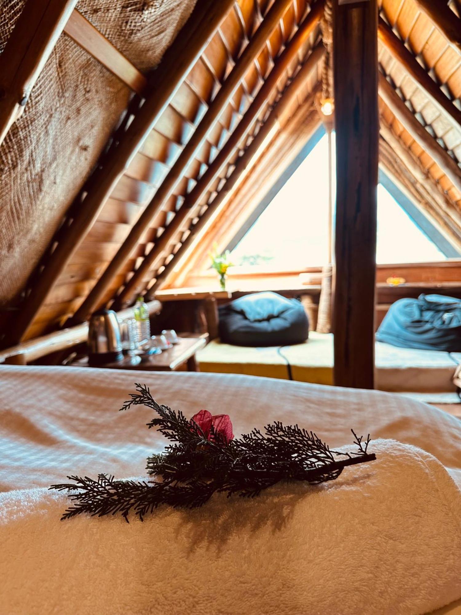 Villa 47 Nuwaraeliya Nuwara Eliya Eksteriør billede