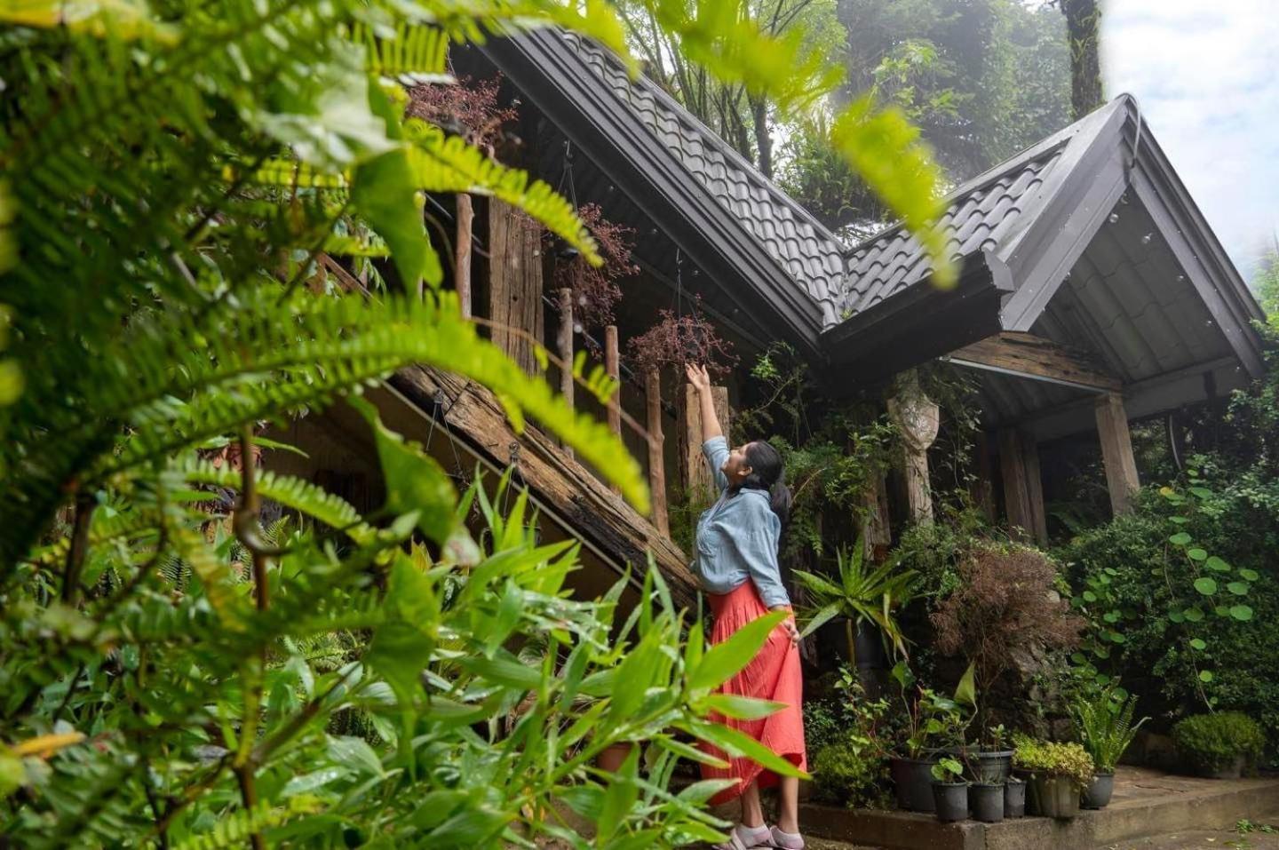 Villa 47 Nuwaraeliya Nuwara Eliya Eksteriør billede