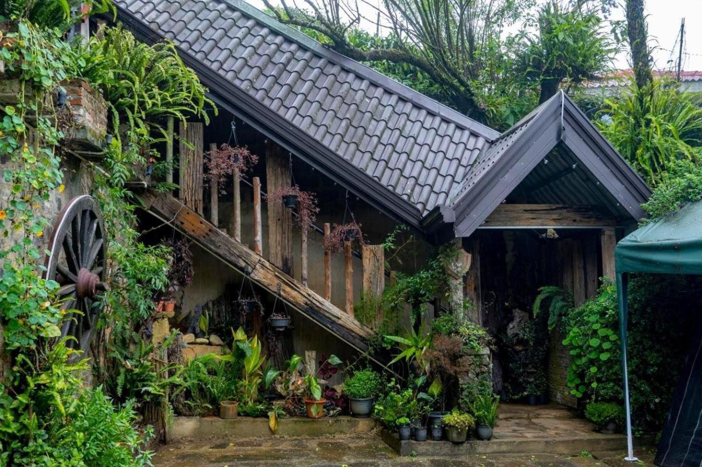 Villa 47 Nuwaraeliya Nuwara Eliya Eksteriør billede